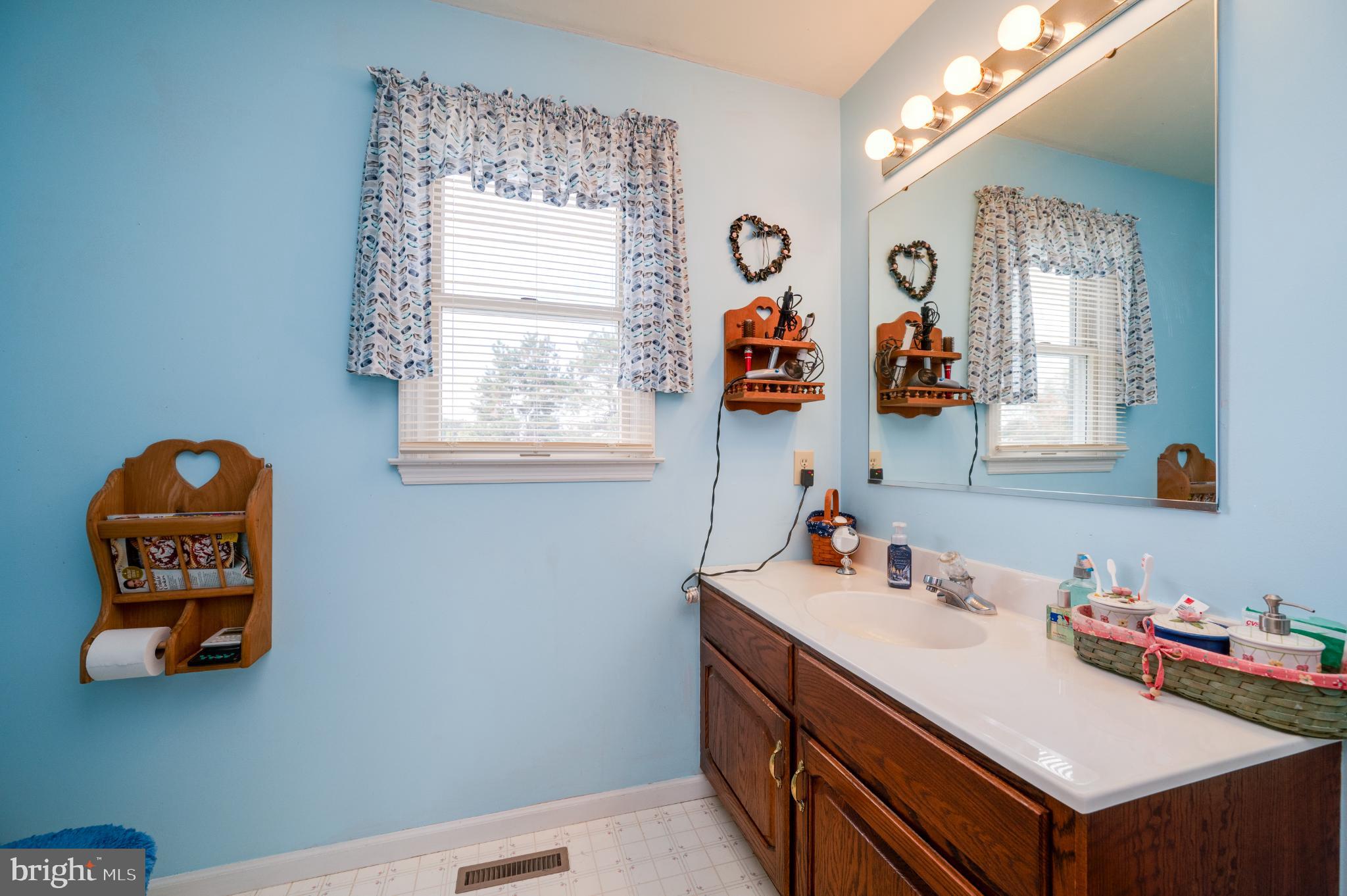 1052 Boeshore Circle Reading, PA 19605 - Photo 49 of 72 a bathroom with a sink and a mirror