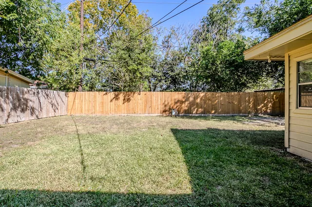 a view of yard with large tree