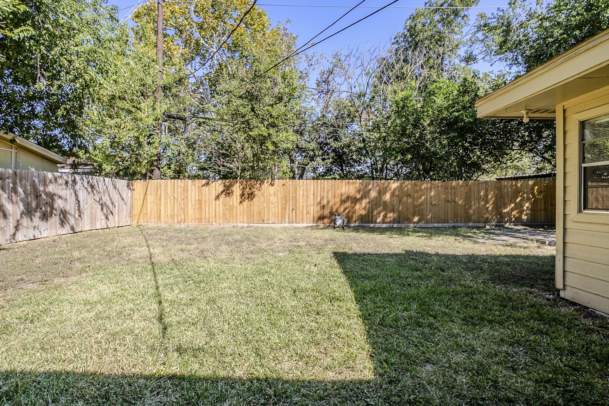 6434 Leader Street Houston, TX 77074 - Photo 40 of 46 a view of yard with large tree
