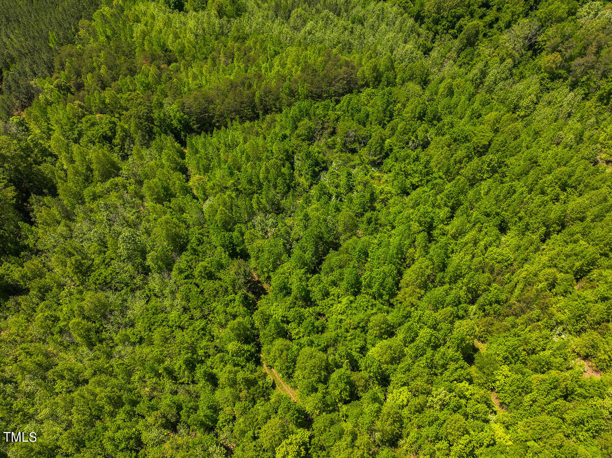 Lot-1-00 Wilson Road Providence, NC 27315 - Photo 32 of 43 Caswell Co. NC -Wilsons Ridge-Lot 1-32