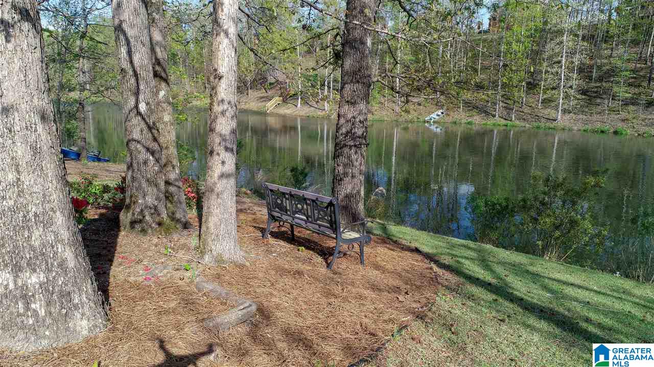 2860 Aster Lake Road Helena, AL 35022 - Photo 45 of 49