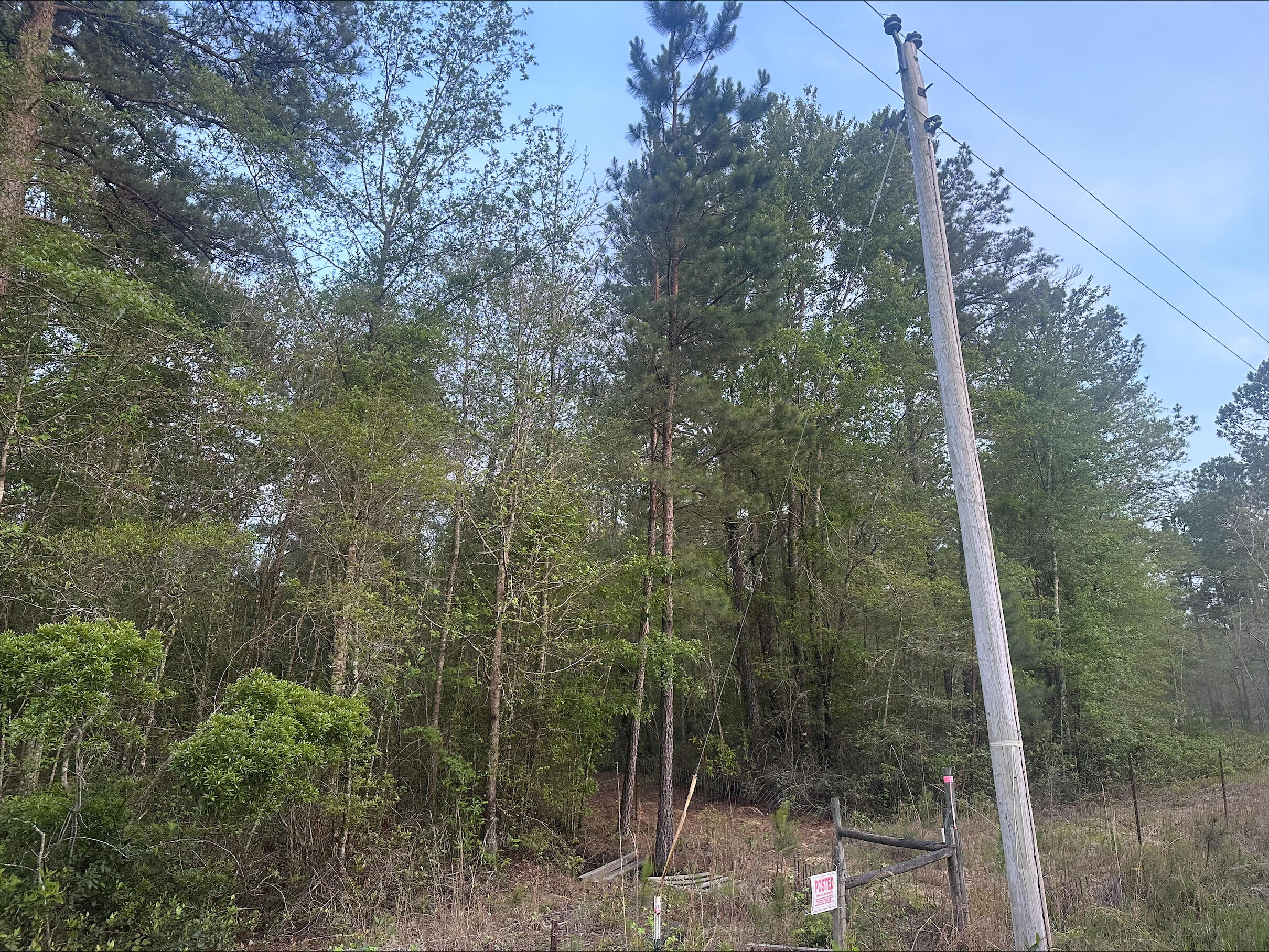 0 Weans Road Walterboro, SC 29488 - Photo 3 of 24 Image (23)