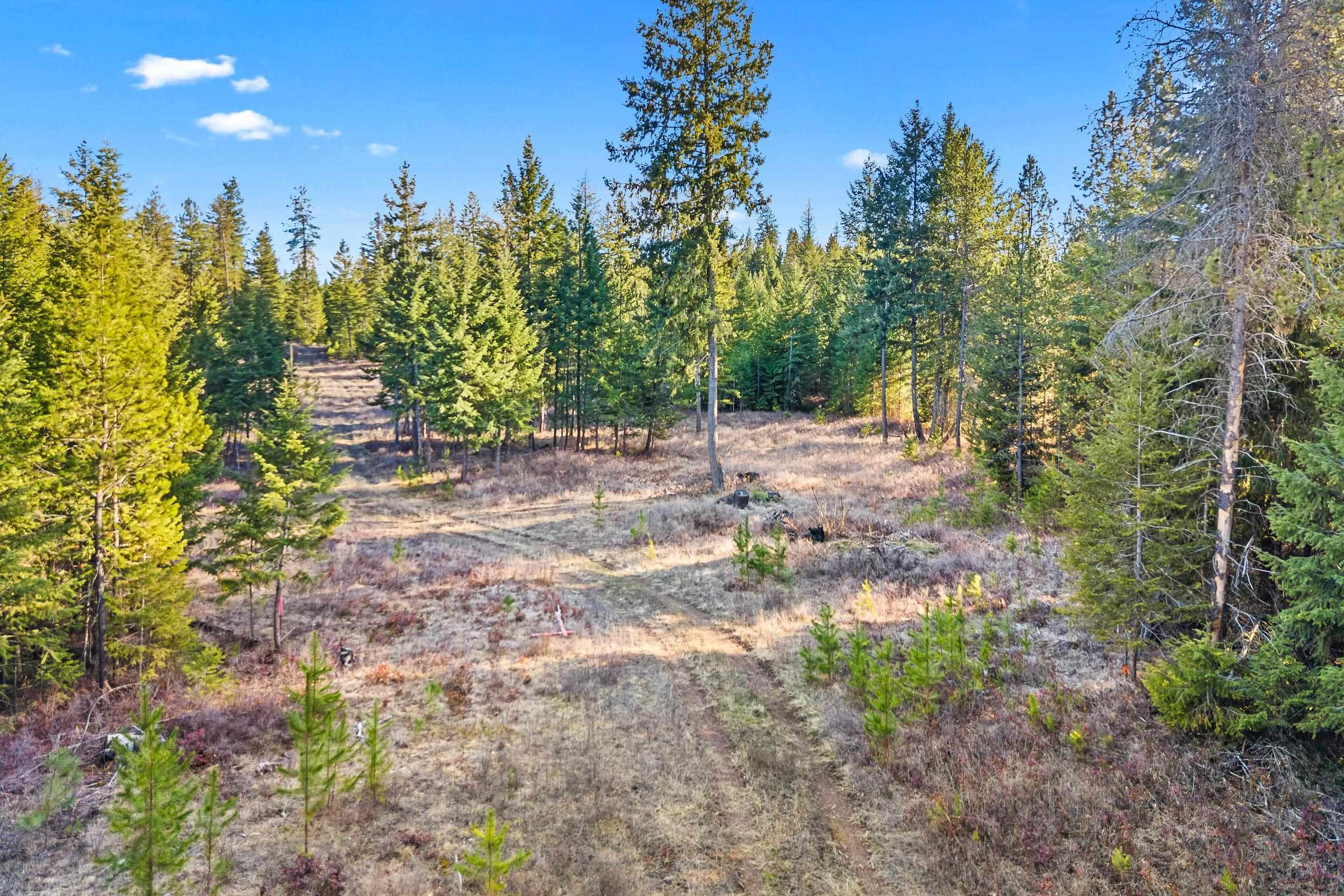 12818 East Bridges Road Elk, WA 99009 - Photo 17 of 25