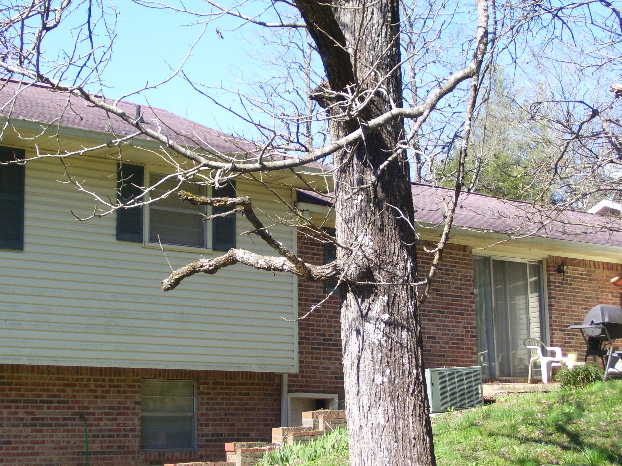 573 Layman Circle Decatur, TN 37322 - Photo 3 of 7 Gott House 010