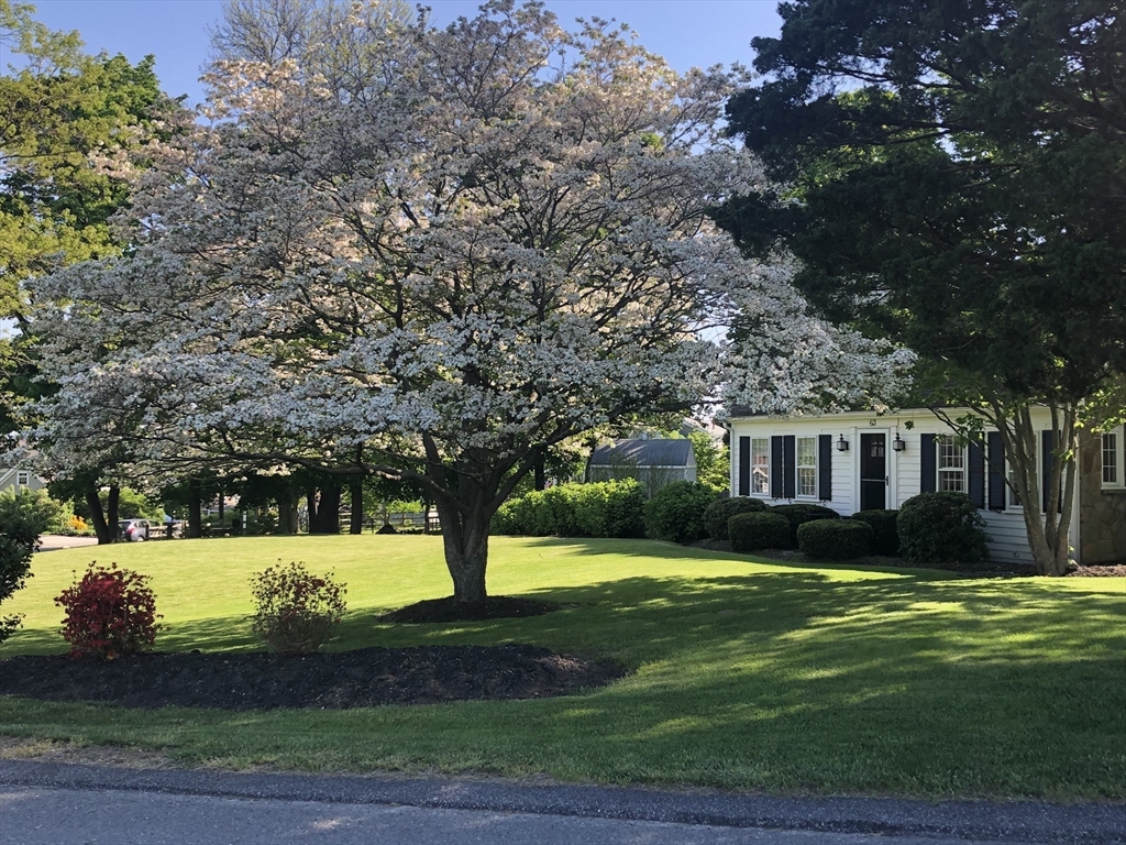 63 Bancroft Road Cohasset, MA 02025 - Photo 37 of 41 a front view of a house with garden