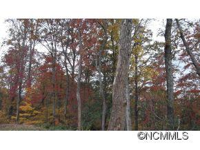 Off Ripple Run Sylva, NC 28779 - Photo 11 of 24 Gallery Image 11