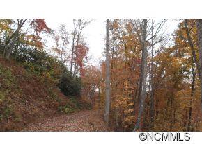 Off Ripple Run Sylva, NC 28779 - Photo 13 of 24 Gallery Image 13