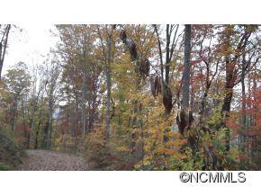 Off Ripple Run Sylva, NC 28779 - Photo 15 of 24 Gallery Image 15