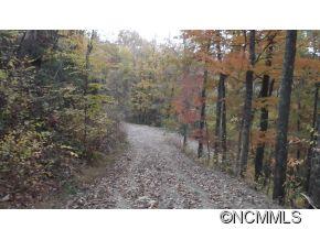 Off Ripple Run Sylva, NC 28779 - Photo 16 of 24 Gallery Image 16