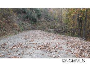 Off Ripple Run Sylva, NC 28779 - Photo 18 of 24 Gallery Image 18