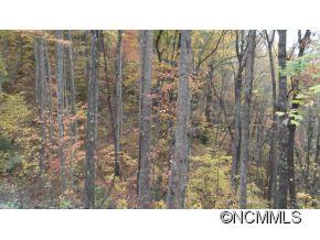 Off Ripple Run Sylva, NC 28779 - Photo 20 of 24 Gallery Image 20