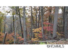 Off Ripple Run Sylva, NC 28779 - Photo 21 of 24 Gallery Image 21