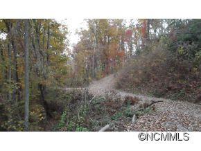 Off Ripple Run Sylva, NC 28779 - Photo 22 of 24 Gallery Image 22