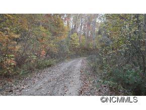 Off Ripple Run Sylva, NC 28779 - Photo 24 of 24 Gallery Image 24