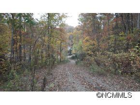 Off Ripple Run Sylva, NC 28779 - Photo 4 of 24 Gallery Image 4