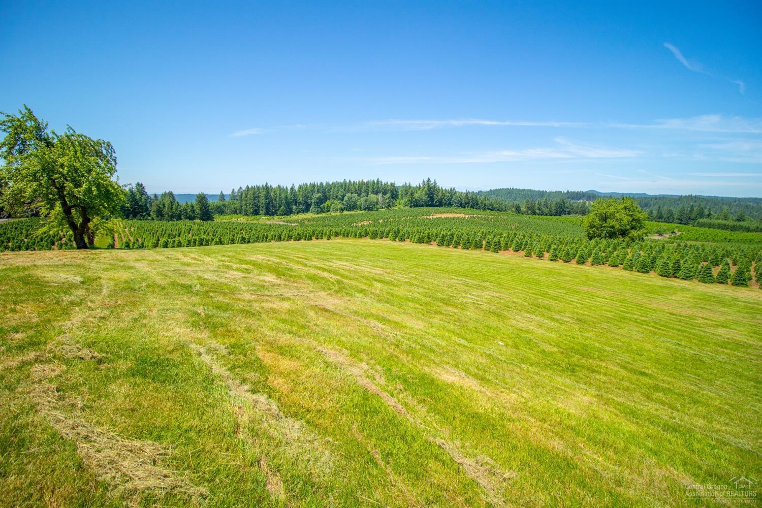 22501 South Schieffer Road Colton, OR 97017 - Photo 20 of 25 Additional Photo