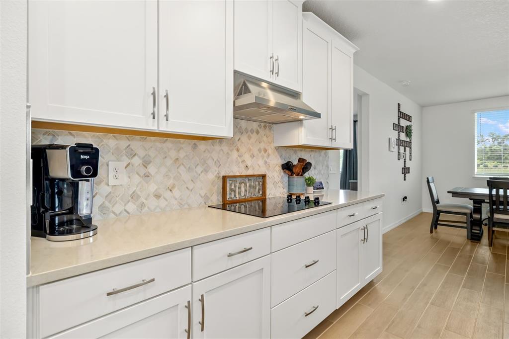 14086 Ginnie Spgs Way Parrish, FL 34219 - Photo 25 of 49 a kitchen with white cabinets and sink