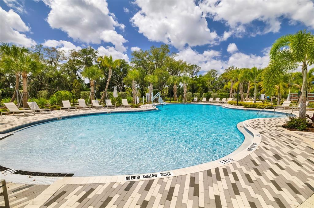 14086 Ginnie Spgs Way Parrish, FL 34219 - Photo 40 of 49 a view of a swimming pool with a yard