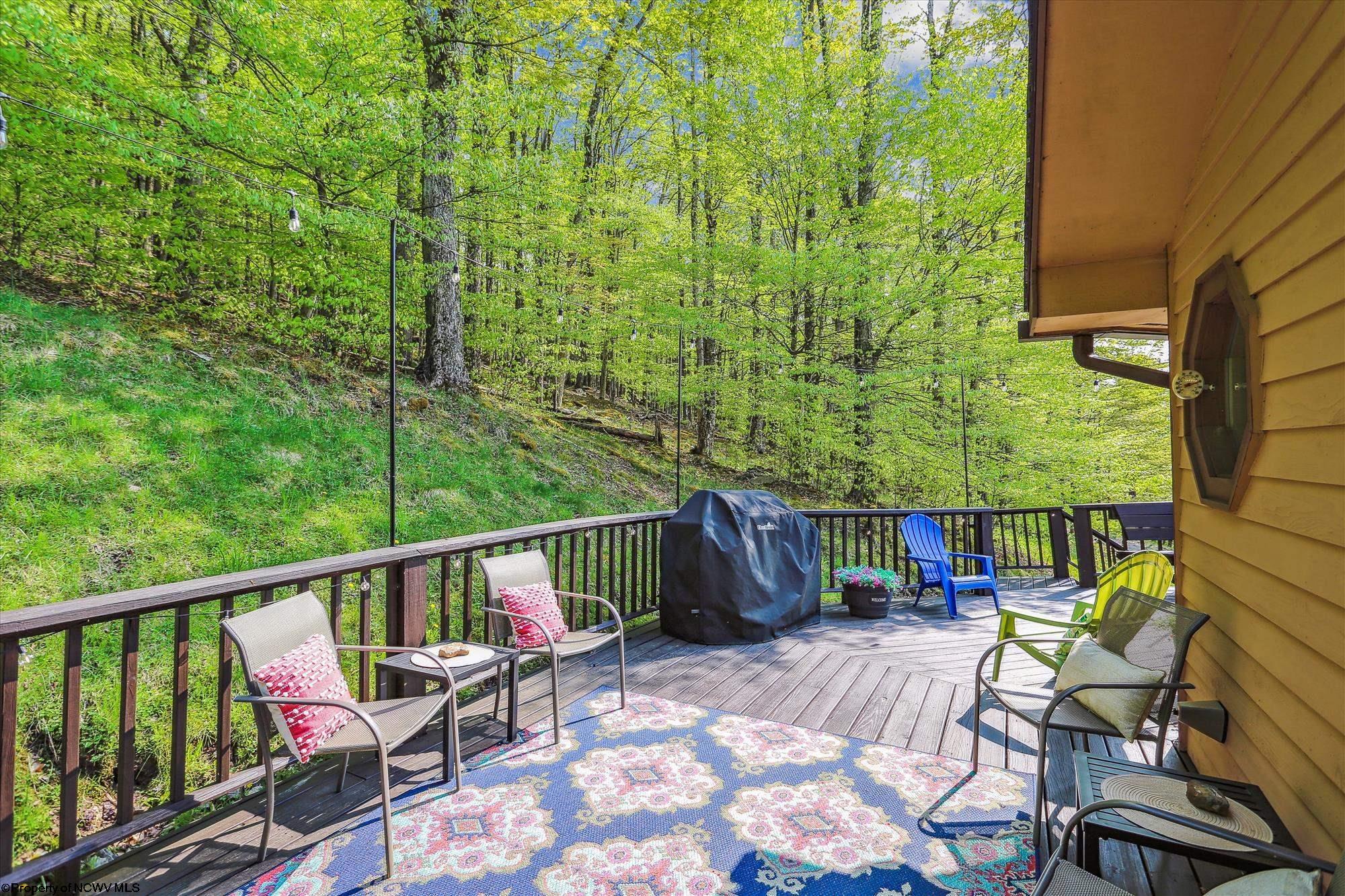 2646 Mountainside Road Davis, WV 26260 - Photo 24 of 29 Gallery Image 24