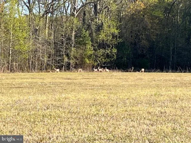 $150,000 | 0 East Shire Drive, Berlin, MD 21811