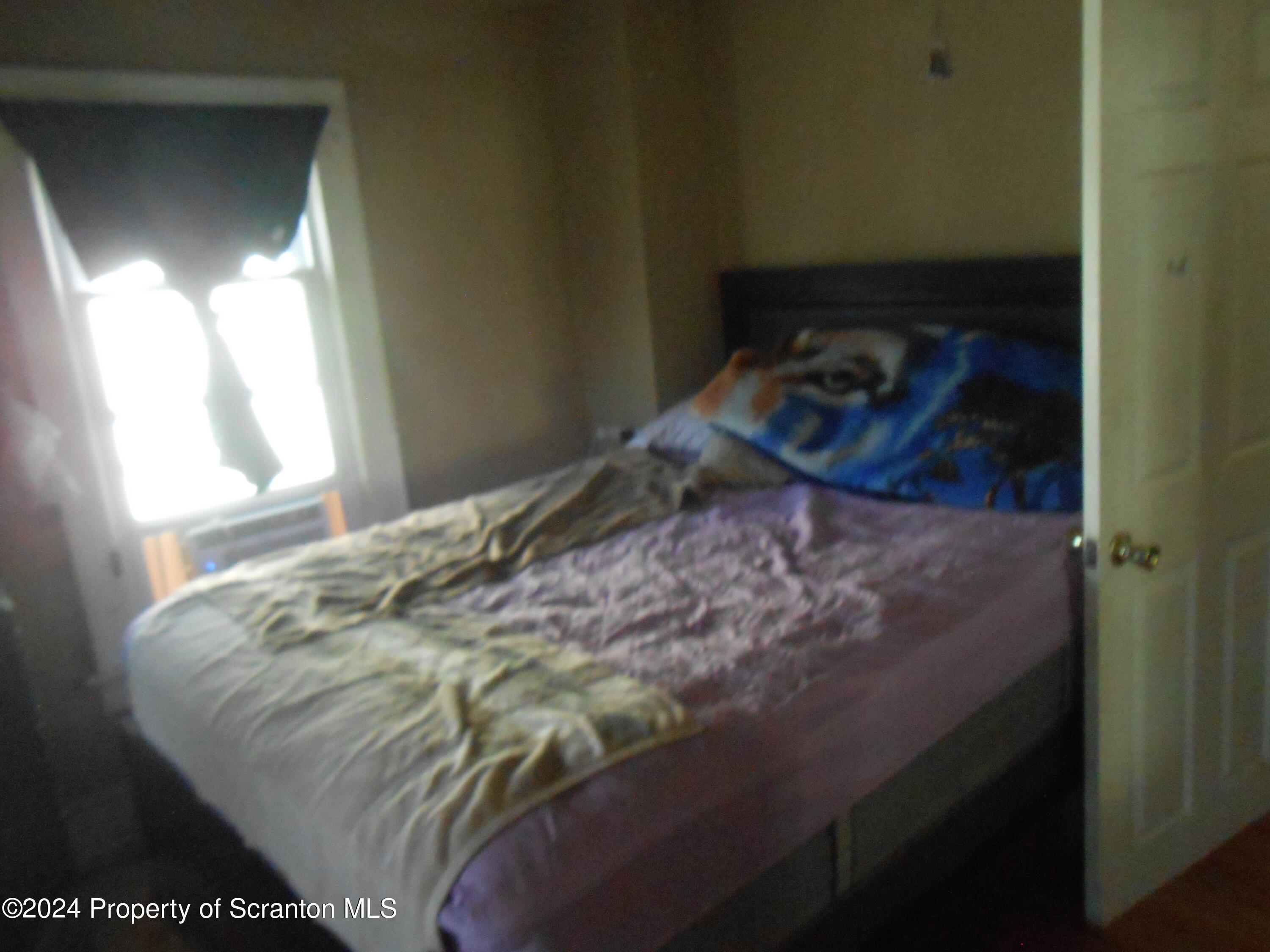 439 Alder Street Scranton, PA 18505 - Photo 27 of 28 DSCN3728