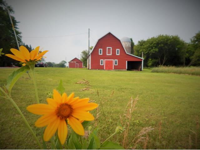 54151 Government Road Rush City, MN 55069 - Photo 1 of 1 Gallery Image 1