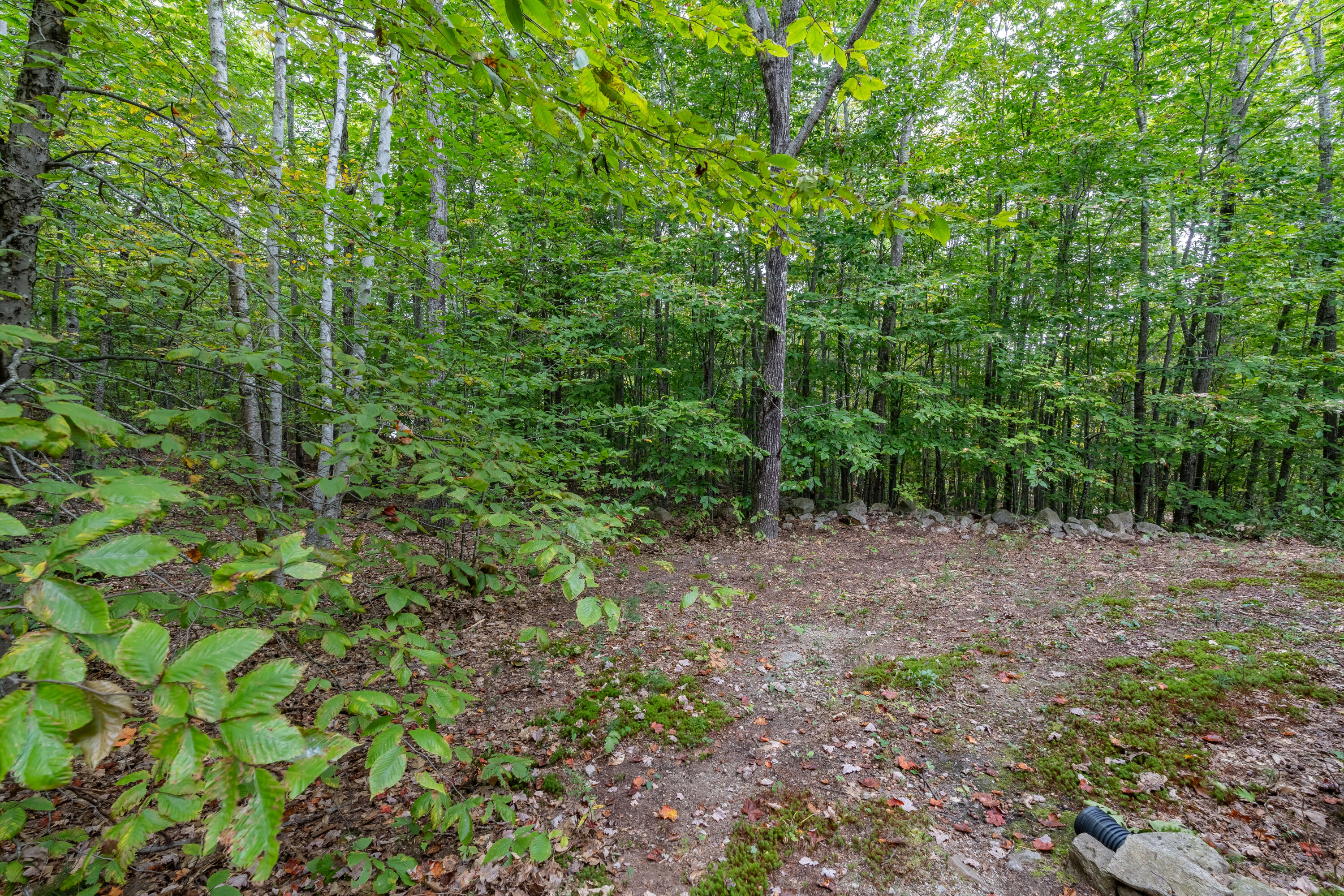 119 Loop Road Otisfield, ME 04270 - Photo 52 of 64 Sideyard
