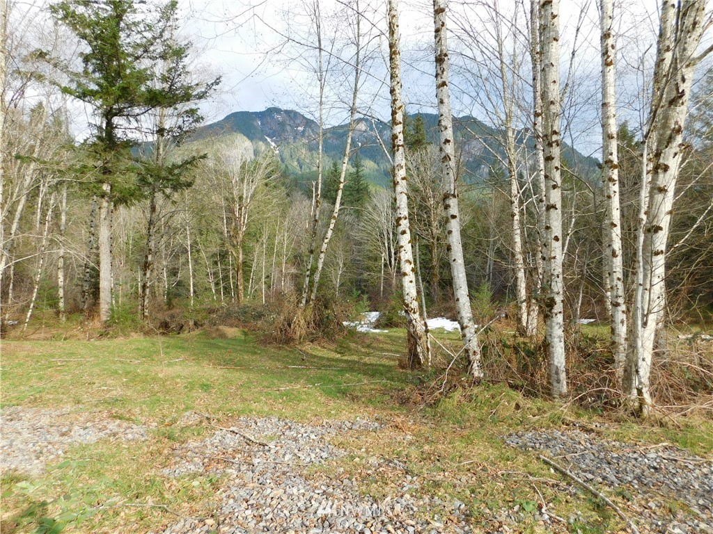 15524 May Creek Road Gold Bar, WA 98251 - Photo 1 of 36 a backyard of a house with lots of green space