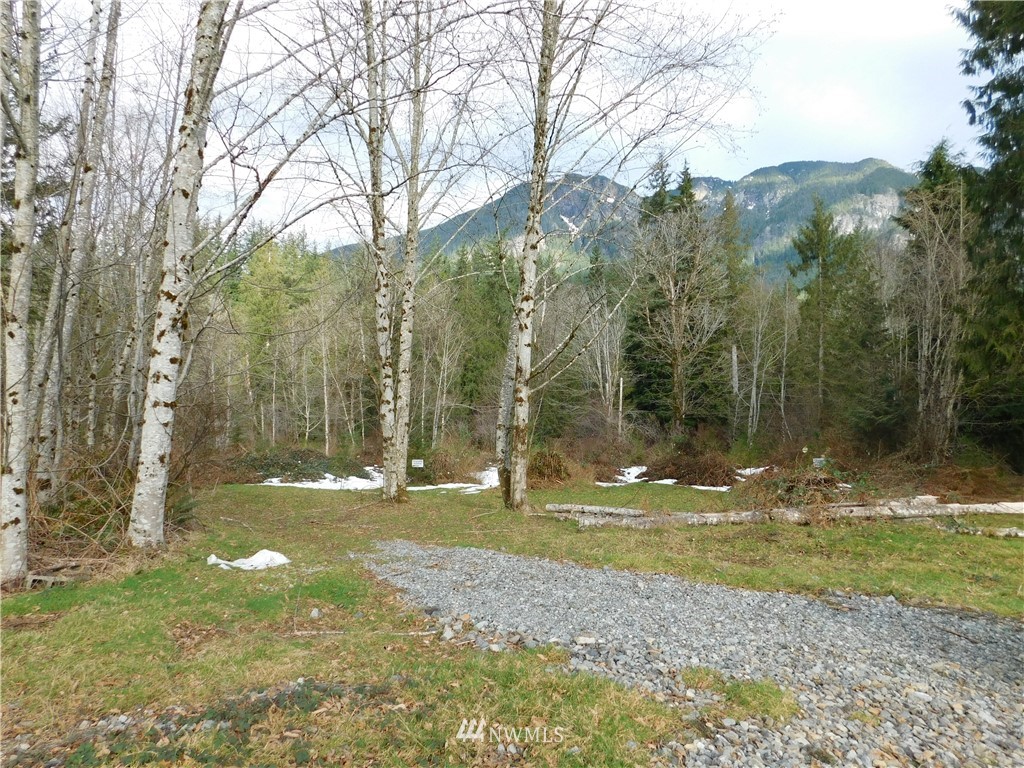 15524 May Creek Road Gold Bar, WA 98251 - Photo 11 of 36 a backyard of a house with lots of green space