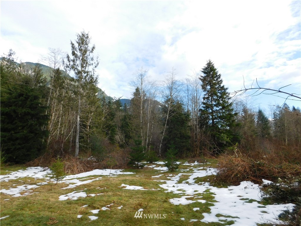 15524 May Creek Road Gold Bar, WA 98251 - Photo 14 of 36