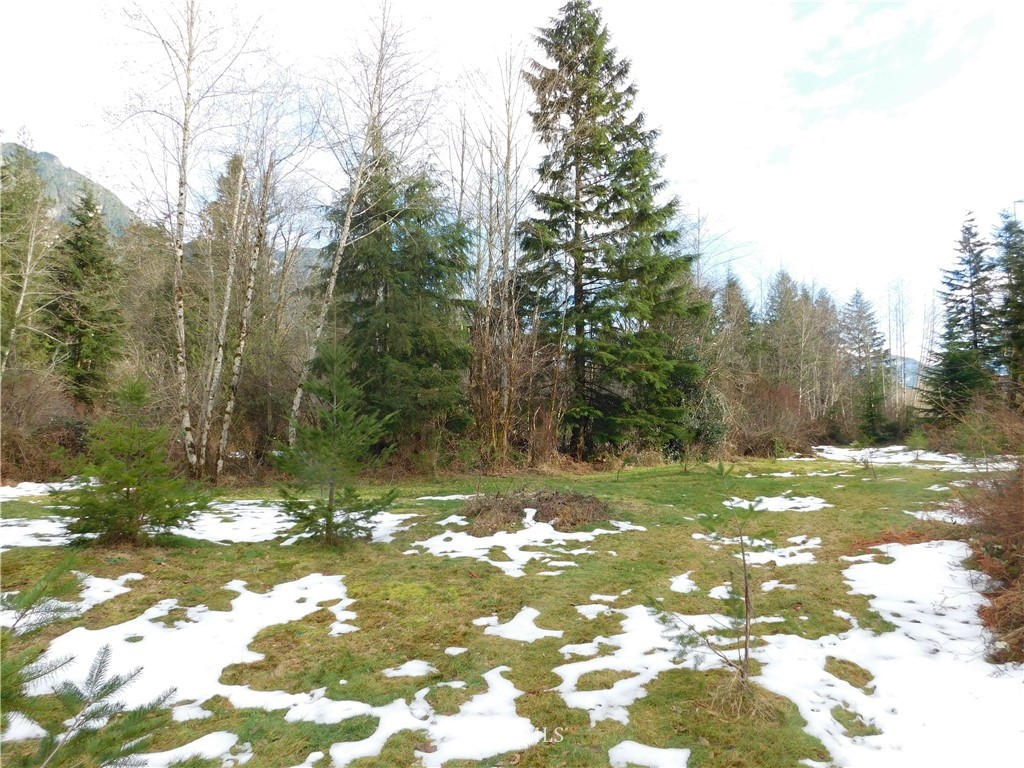 15524 May Creek Road Gold Bar, WA 98251 - Photo 16 of 36 a view of a trees with a yard