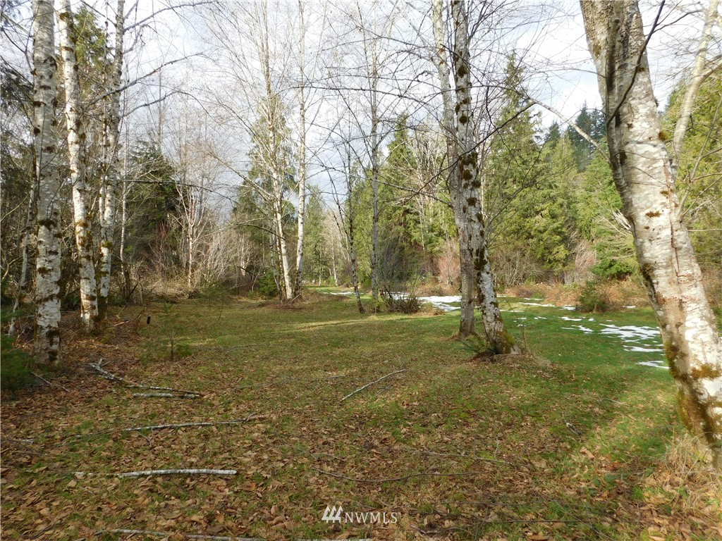 15524 May Creek Road Gold Bar, WA 98251 - Photo 19 of 36 a view of backyard with green space