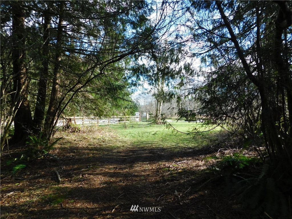 15524 May Creek Road Gold Bar, WA 98251 - Photo 20 of 36 a view of outdoor space and yard