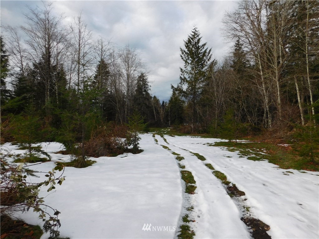15524 May Creek Road Gold Bar, WA 98251 - Photo 23 of 36 a view of a park with large trees