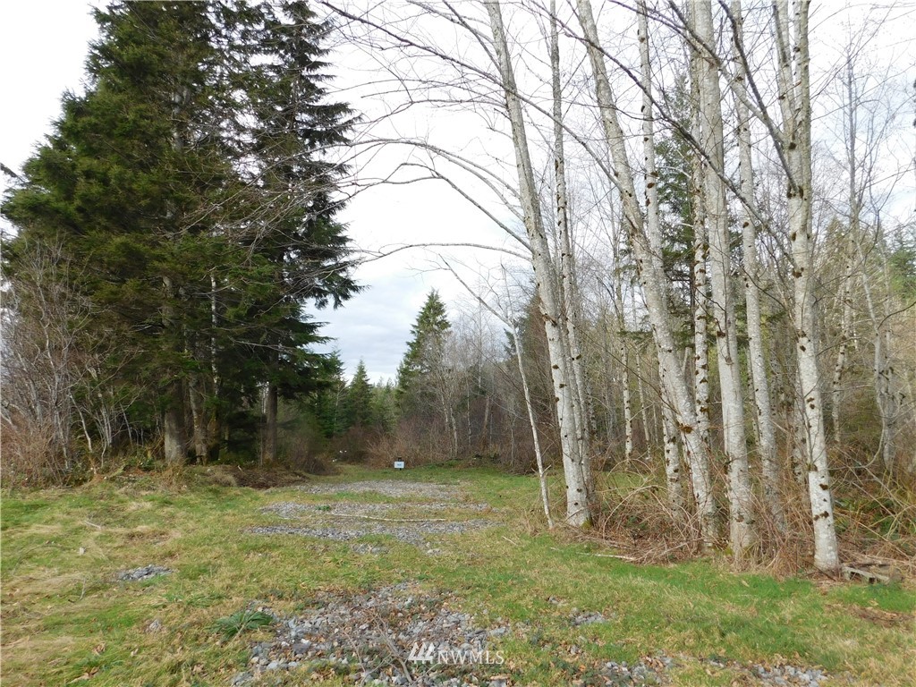 15524 May Creek Road Gold Bar, WA 98251 - Photo 24 of 36