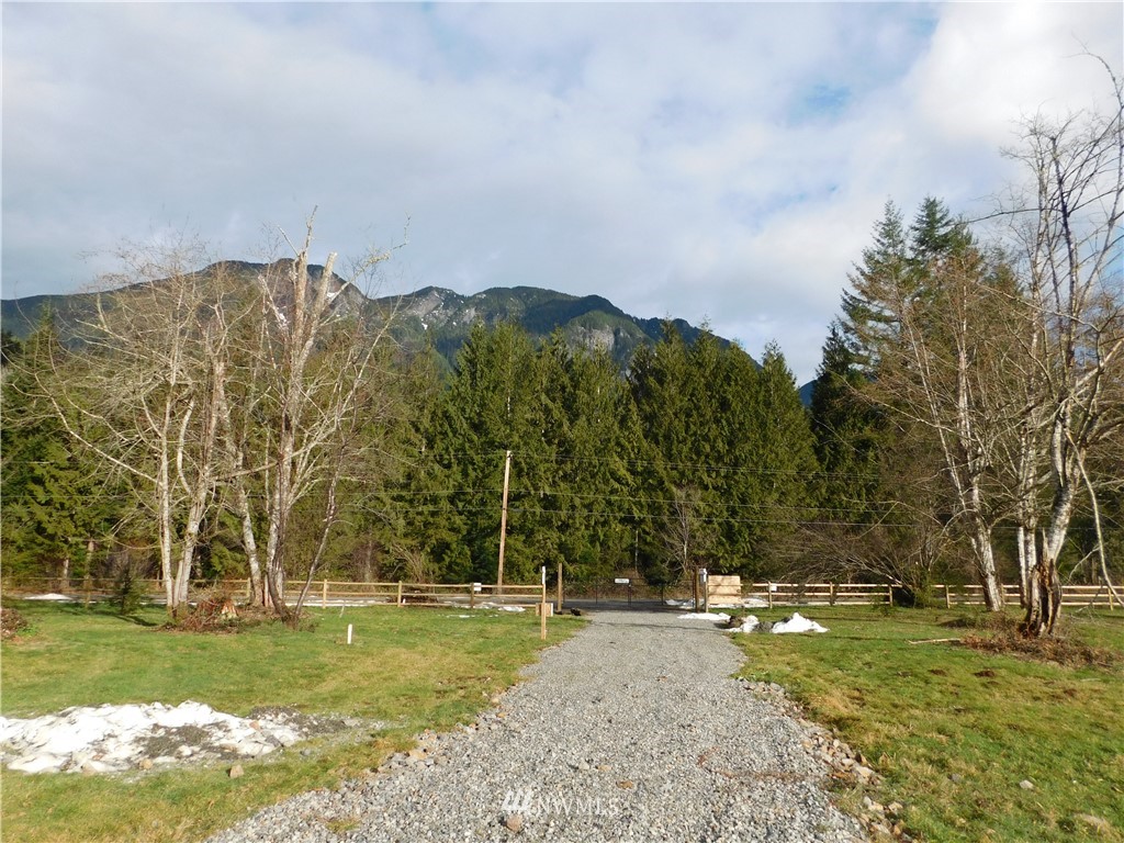 15524 May Creek Road Gold Bar, WA 98251 - Photo 26 of 36 a view of large trees with a big yard