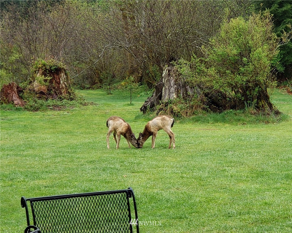 15524 May Creek Road Gold Bar, WA 98251 - Photo 35 of 36 a view of a backyard