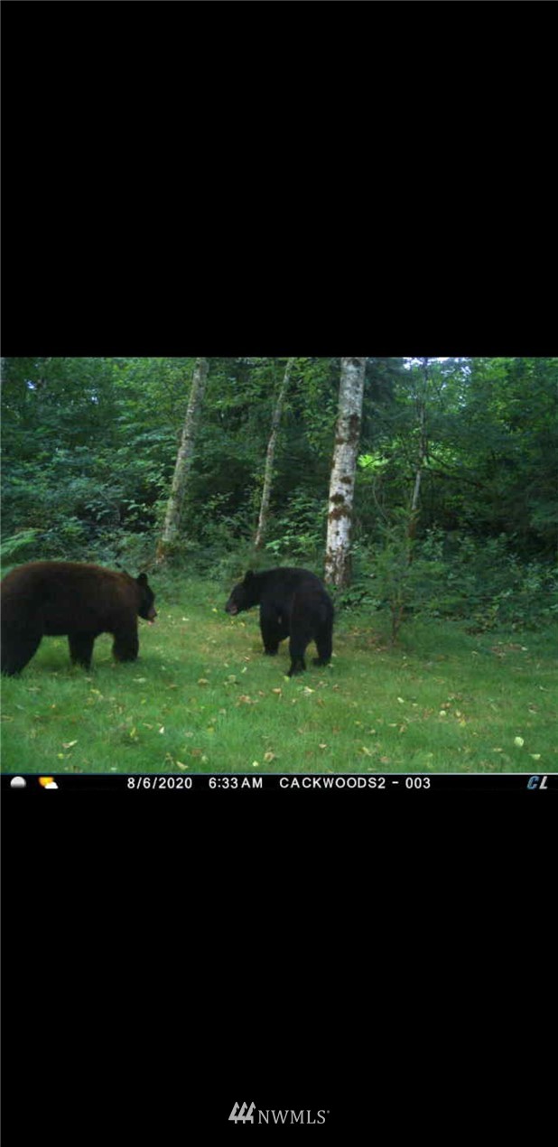 15524 May Creek Road Gold Bar, WA 98251 - Photo 36 of 36