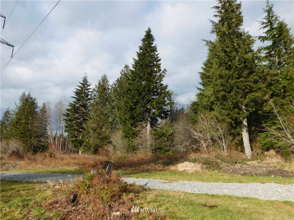 15524 May Creek Road Gold Bar, WA 98251 - Photo 9 of 36 a view of a yard with mountain