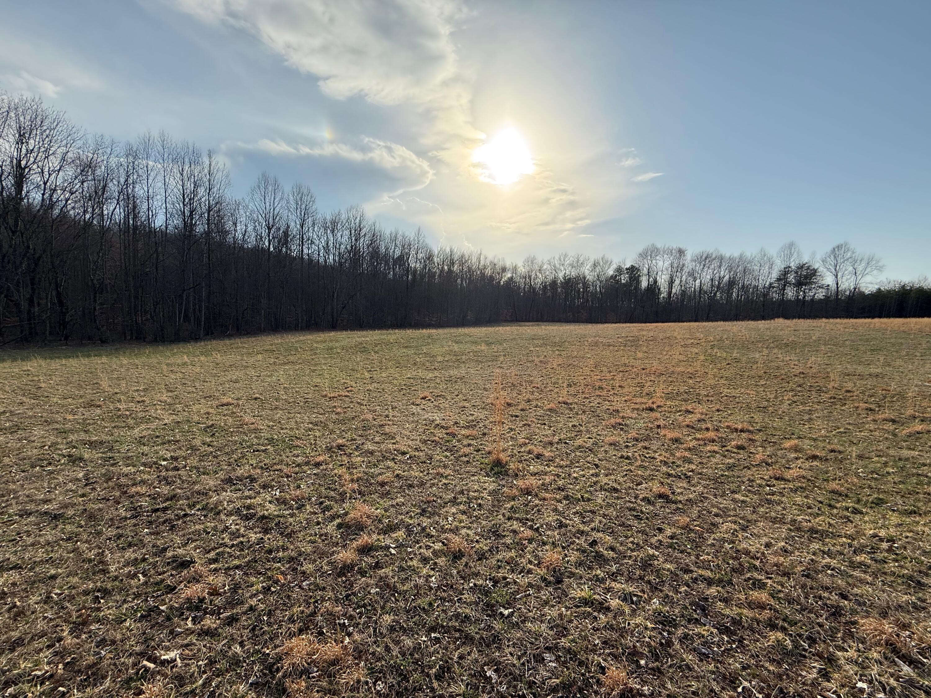 0 Westerfield Road London, KY 40744 - Photo 17 of 23 IMG_0039
