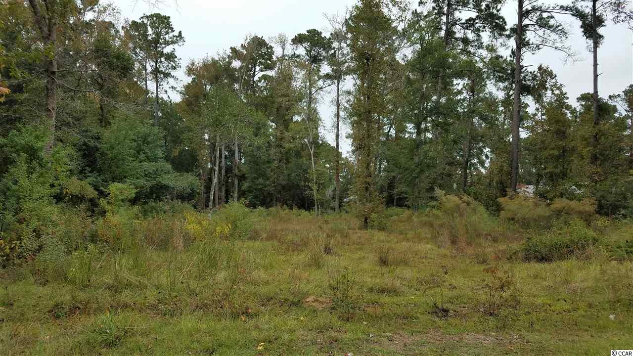 1580 Wachesaw Road Murrells Inlet, SC 29576 - Photo 4 of 23 Gallery Image 4