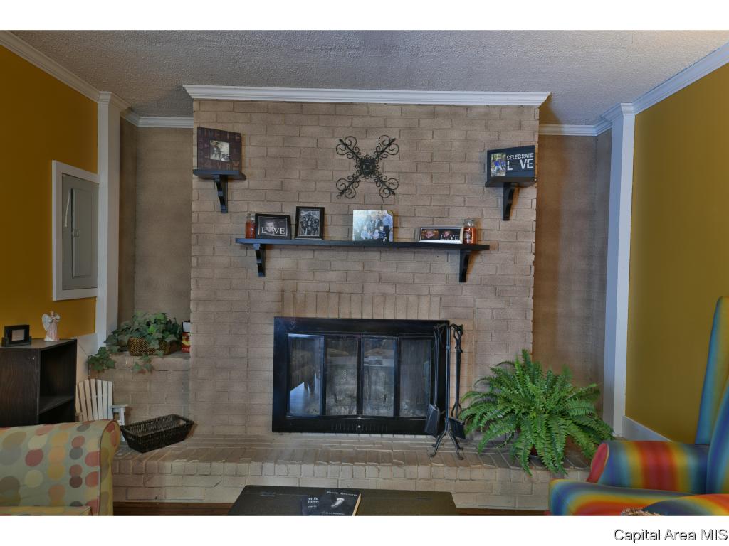 1816 North 20th Street Springfield, IL 62702 - Photo 5 of 30