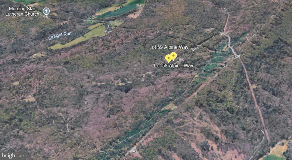 58-59 Alpine Way Mount Mount Jackson, VA 22842 - Photo 3 of 5 Close to Bryce Resort