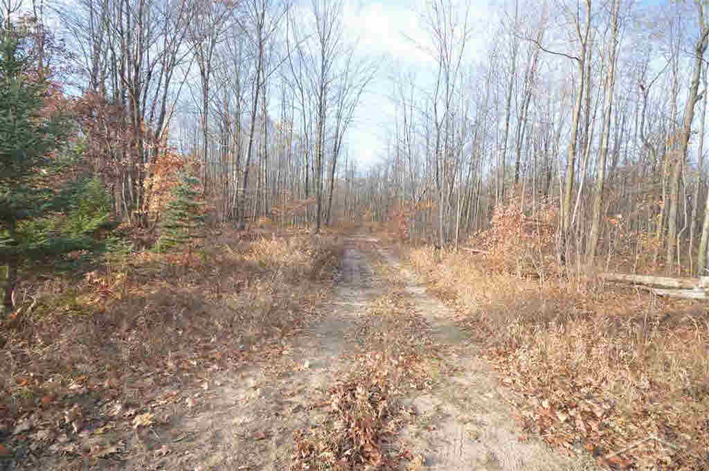 0 O Obrien Road Vassar, MI 48768 - Photo 1 of 6