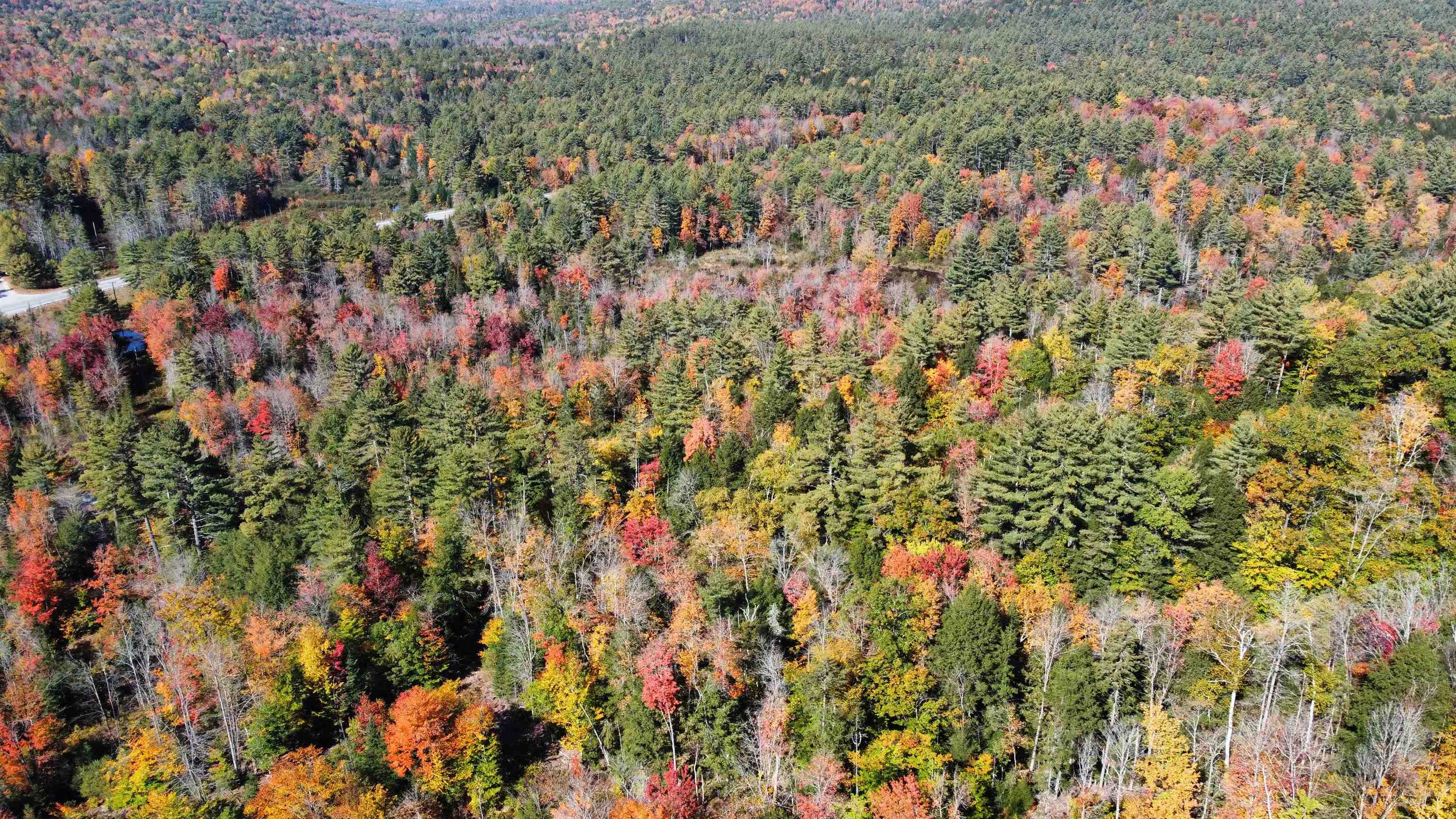 Lot 66 Murray Hill Road Hill, NH 03243 - Photo 14 of 19 Gallery Image 14