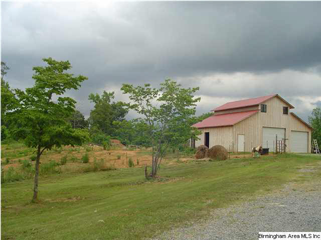 385 Ray Drive Locust Fork, AL 35097 - Photo 28 of 31