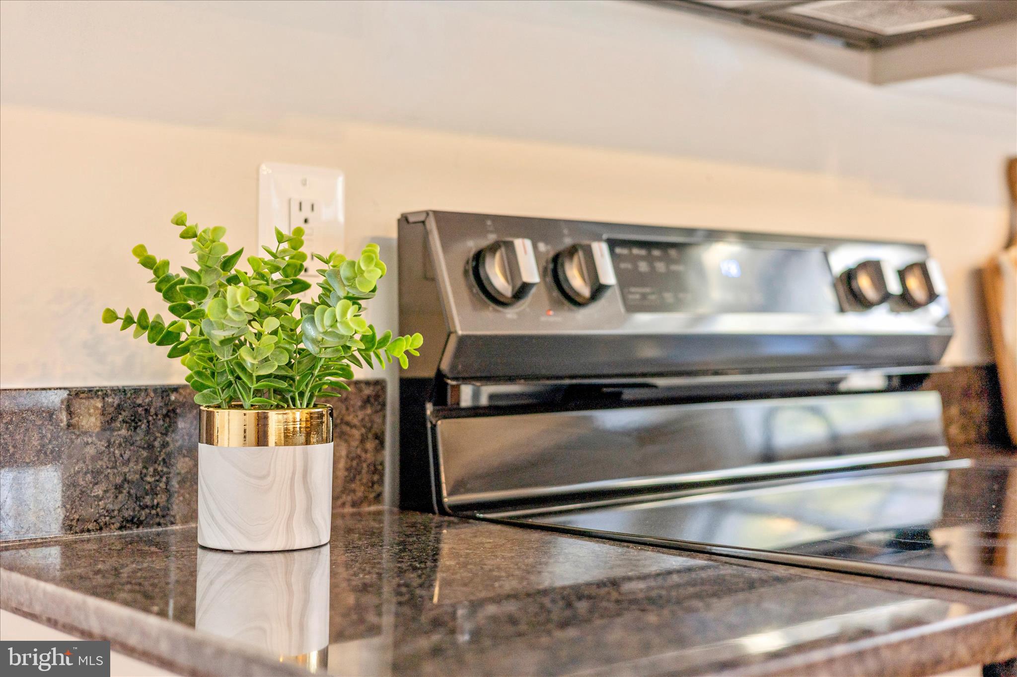 6630 Fox Meade Court Frederick, MD 21702 - Photo 23 of 84 Kitchen
