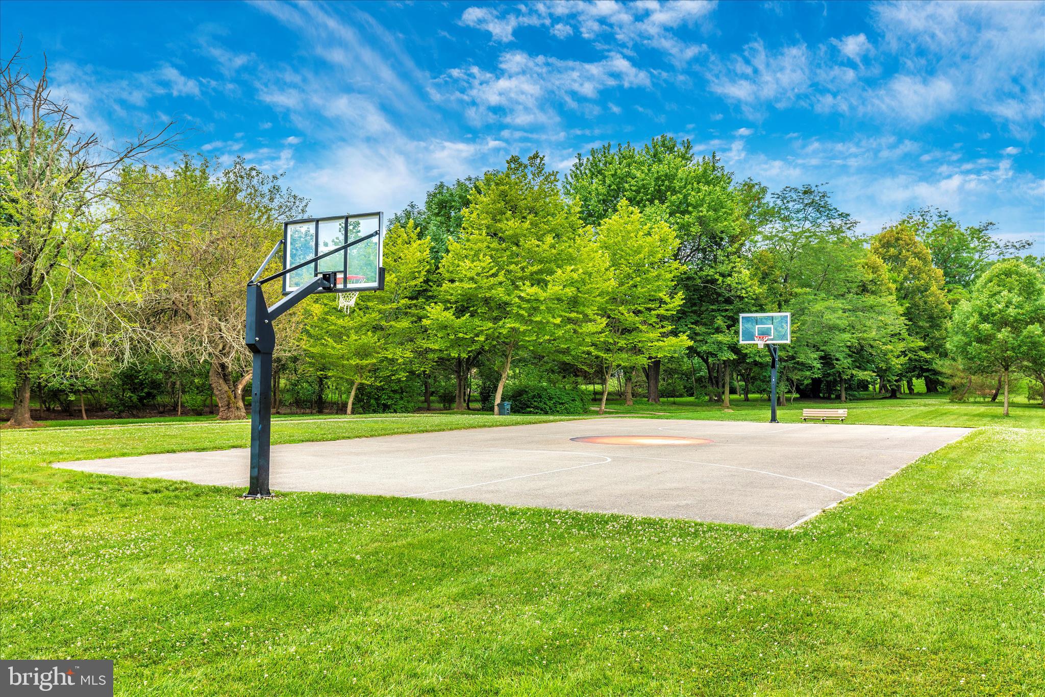 6630 Fox Meade Court Frederick, MD 21702 - Photo 80 of 84 a view of a field with a tree