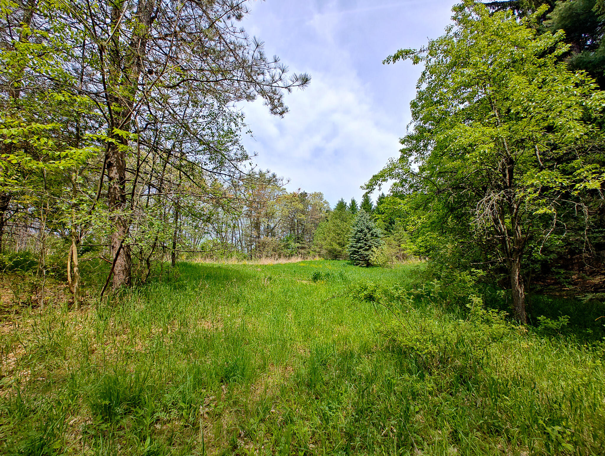 Tipsico Lake Road Fenton, MI 48430 - Photo 5 of 18 IMG_20260518_115807754_HDR