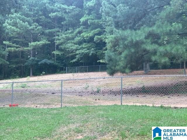 35091 Highway 75 Oneonta, AL 35121 - Photo 42 of 43